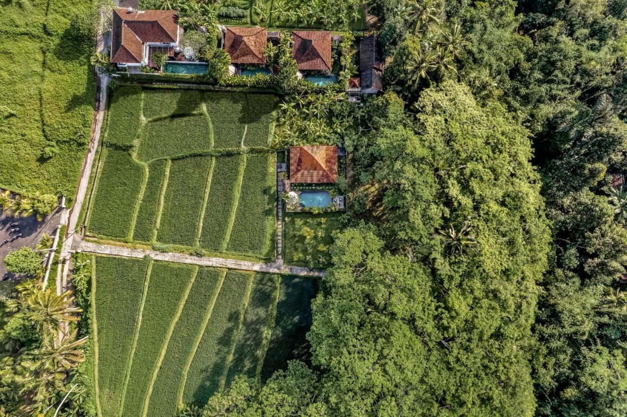 Ratni Ubud Villa Eksteriør billede